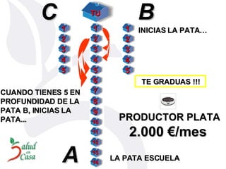 TE GRADUAS !!! CUANDO TIENES 5 EN PROFUNDIDAD DE LA PATA B, INICIAS LA PATA... B C INICIAS LA PATA…  A LA PATA ESCUELA  PRODUCTOR PLATA 2.000 €/mes   TU 1 3 8 6 5 4 2 11 12 13 14 9 7 1 3 5 4 2 1 3 5 4 2 10 