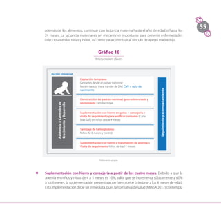 55
Acción Universal
Captación temprana
Gestantes desde el primer trimestre
Recién nacido: inicia trámite de DNI: CNV + Acta de
nacimiento
Construcción de padrón nominal, georreferenciado y
sectorizado: Familia/Hogar
Suplementación con hierro en gotas + consejería +
visita de seguimiento para verificar consumo (Cuna
Más-SAF) en niños desde 4 meses
Tamizaje de hemoglobina:
Niños de 6 meses y control
Suplementación con hierro o tratamiento de anemia +
Visita de seguimiento Niños de 6 a 11 meses
Gráfico 10
Intervención: claves
l	 Suplementación con hierro y consejería a partir de los cuatro meses. Debido a que la
anemia en niños y niñas de 4 a 5 meses es 10%, valor que se incrementa súbitamente a 60%
a los 6 meses, la suplementación preventiva con hierro debe brindarse a los 4 meses de edad.
Esta implementación debe ser inmediata, pues la normativa de salud (MINSA 2017) contempla
Elaboración propia.
además de los alimentos, continuar con lactancia materna hasta el año de edad o hasta los
24 meses. La lactancia materna es un mecanismo importante para prevenir enfermedades
infecciosas en las niñas y niños, así como para contribuir al vínculo de apego madre-hijo.
 