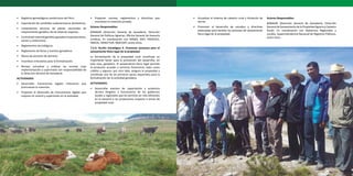 52 MINISTERIO DE AGRICULTURA Y RIEGO PLAN NACIONAL DE DESARROLLO GANADERO 2017-2027 53
•	 Registros genealógicos zootécnicos del Perú.
•	 Exportación de camélidos sudamericanos domésticos.
•	 Lineamientos técnicos de planes nacionales de
mejoramiento genético de las diversas especies.
•	 Controldelmaterialgenéticoganadero(reproductores,
semen y embriones).
•	 Reglamentos tecnológicos.
•	 Reglamento de ferias y eventos ganaderos.
•	 Abuso de posición de dominio.
•	 Incentivos tributarios para la formalización.
•	 Revisar, actualizar y ordenar las normas cuya
implementación y supervisión son responsabilidad de
la Dirección General de Ganadería.
ACTIVIDADES:
•	 Desarrollar mecanismos legales tributarios que
promuevan la inversión.
•	 Proponer el desarrollo de instrumentos legales que
mejoren el control y supervisión en la actividad.
•	 Proponer normas, reglamentos y directivas que
incentiven la inversión privada.
Actores Responsables:
MINAGRI (Dirección General de Ganadería, Dirección
General de Políticas Agrarias, Oficina General de Asesoría
Jurídica). En coordinación con MINSA, MEF, PRODUCE,
INACAL, MINCETUR, INDECOPI, entre otros.
7.5.4. Acción Estratégica 4. Promover procesos para el
saneamiento físico legal de la propiedad
La formalización de la propiedad rural constituye un
importante factor para la promoción del desarrollo, en
este caso, ganadero. El saneamiento físico legal permite
al productor acceder a servicios financieros, tales como
crédito y seguros; por otro lado, asegura la propiedad y
constituye uno de los primeros pasos requeridos para la
formalización de la actividad ganadera.
ACTIVIDADES:
•	 Desarrollar eventos de capacitación y asistencia
técnica dirigidos a funcionarios de los gobiernos
locales y regionales que les permita ser más eficientes
en la asesoría a los productores respecto a temas de
propiedad rural.
•	 Actualizar el sistema de catastro rural y titulación de
tierras
•	 Promover el desarrollo de estudios y directivas
elaboradas para facilitar los procesos de saneamiento
físico legal de la propiedad.
Actores Responsables:
MINAGRI (Dirección General de Ganadería, Dirección
General de Saneamiento de la Propiedad Agraria y Catastro
Rural). En coordinación con Gobiernos Regionales y
Locales, Superintendencia Nacional de Registros Públicos,
entre otros.
 