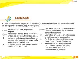 Inicio




                EJERCICIOS
I. Dada su importancia asigne 1 a la definición, 2 a la caracterización y 3 a la clasificación,
en los siguientes ejercicios, según corresponda.
                                                 _1___ Las Tribus Urbanas son comunidades
_1___ Animal artrópodo de respiración
                                                       urbanas, mediáticas, y que están en
      tráquea.
                                                       constante desarrollo.
_3___ Poseen seis patas y dos a cuatro alas.
                                                 _2___ Las Tribus Urbanas se articulan desde
_4___ Ortópteros, dípteros, himenópteros, …
                                                       la matriz consumo-entretención.
_5___ La mayor parte sufre metamorfosis en
                                                 _4___ En Chile, se distinguen Pokemones,
      su desarrollo, pasando por larva, ninfa
                                                       Emo, Otaku, Visuals, Pelolais, etc.
      antes de su forma definitiva
                                                 _3___ También pueden ser vistas como
_2___ El cuerpo está dividido en tres partes:
                                                        “subculturas juveniles” en tanto
      cabeza, tórax y abdomen.
                                                        “caracterizan a una parte
                                                        minoritaria de la juventud”.
 