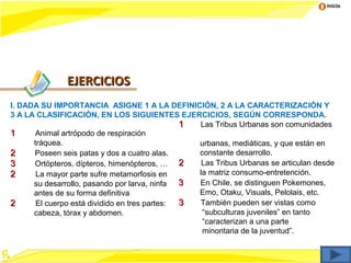 Inicio




               EJERCICIOS
I. DADA SU IMPORTANCIA ASIGNE 1 A LA DEFINICIÓN, 2 A LA CARACTERIZACIÓN Y
3 A LA CLASIFICACIÓN, EN LOS SIGUIENTES EJERCICIOS, SEGÚN CORRESPONDA.
                                               1 Las Tribus Urbanas son comunidades
1      Animal artrópodo de respiración
      tráquea.                                   urbanas, mediáticas, y que están en
2     Poseen seis patas y dos a cuatro alas.     constante desarrollo.
3     Ortópteros, dípteros, himenópteros, … 2     Las Tribus Urbanas se articulan desde
2      La mayor parte sufre metamorfosis en      la matriz consumo-entretención.
      su desarrollo, pasando por larva, ninfa  3 En Chile, se distinguen Pokemones,
      antes de su forma definitiva               Emo, Otaku, Visuals, Pelolais, etc.
2      El cuerpo está dividido en tres partes: 3 También pueden ser vistas como
      cabeza, tórax y abdomen.                    “subculturas juveniles” en tanto
                                                  “caracterizan a una parte
                                                  minoritaria de la juventud”.
 