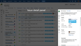 Issue detail panel
 