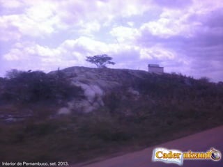 Interior de Pernambuco, set. 2013.
 