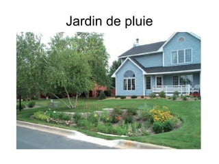 Jardin de pluie
 