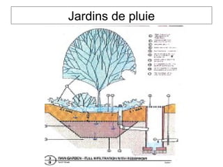 Jardins de pluie
 