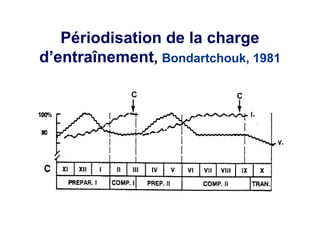 Périodisation de la charge
d’entraînement, Bondartchouk, 1981

            C              C
 