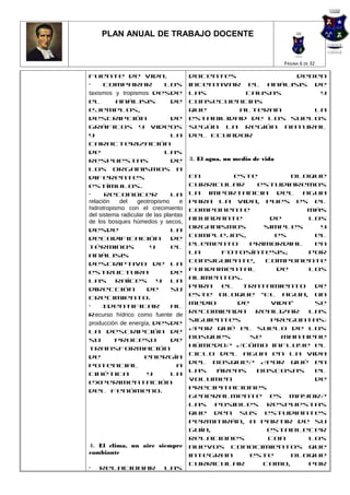PLAN ANUAL DE TRABAJO DOCENTE


                                                                      PÁGINA 6 DE 32

fuente de vida.                        docentes            deben
•     Comparar               los       incentivar el análisis de
taxismos y tropismos desde             las        causas       y
el         análisis             de     consecuencias
ejemplos,                              que       alteran      la
descripción                     de     estabilidad de los suelos
gráficos y videos                      según la región natural
y                               la     del Ecuador
caracterización
de                           las
respuestas                      de     3. El agua, un medio de vida
los organismos a
diferentes                             En        este         bloque
estímulos.                             curricular     estudiaremos
•     Reconocer                 la     la importancia del agua
relación    del   geotropismo      e   para la vida, pues es el
hidrotropismo con el crecimiento       componente                más
del sistema radicular de las plantas
                                       abundante         de      los
de los bosques húmedos y secos,
                                       organismos       simples    y
desde                           la
                                       complejos,          es     el
decodificación                  de
                                       elemento      primordial   en
términos               y        el
                                       la     fotosíntesis;      por
análisis
                                       consiguiente,    componente
descriptivo de la
                                       fundamental         de    los
estructura                      de
                                       alimentos.
las raíces y la
                                       Para   el   tratamiento    de
dirección             de        su
                                       este bloque “El agua, un
crecimiento.
                                       medio      de      vida”   se
•    Identificar                al
                                       recomienda     realizar   las
recurso hídrico como fuente de
                                       siguientes         preguntas:
producción de energía, desde
                                       ¿Por qué el suelo de los
la descripción de
                                       bosques       se     mantiene
su        proceso               de
                                       húmedo? ¿Cómo influye el
transformación
                                       ciclo del agua en la vida
de                    energía
                                       del bosque? ¿Por qué en
potencial                         a
                                       las   áreas    boscosas    el
cinética              y         la
                                       volumen                    de
experimentación
                                       precipitaciones
del fenómeno.
                                       generalmente es mayor?
                                       Las posibles respuestas
                                       que den sus estudiantes
                                       permitirán, a partir de su
                                       guía,             establecer
                                       relaciones        con     los
4. El clima, un aire siempre           nuevos conocimientos que
cambiante                              integran      este     bloque
                                       curricular       como,    por
•   Relacionar               las
 