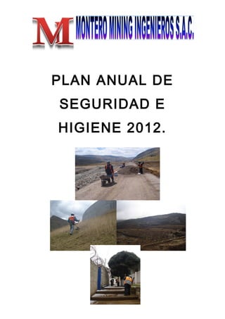 PLAN ANUAL DE
SEGURIDAD E
HIGIENE 2012.
 