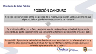 PLAN CANGURO PRESENTACION FINALY CONFORT NEONATAL 26.pptx
