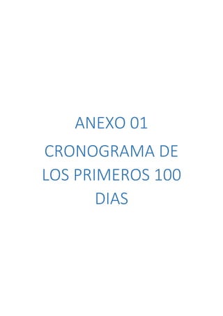 Plan cdo de los primeros 100 dias jofrantoba | PDF