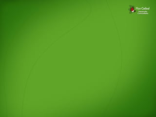 Plan ceibal. desarrollo comunitario