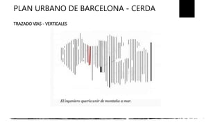 Plan cerda | PPTX