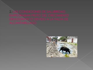 2.-LAS CONDICIONES DE SALUBRIDAD
EMPEORABAN FRUTO DEL CRECIMIENTO
DEMOGRAFICO DEVIDO A LA FALTA DE
ALCANTARILLADO
 