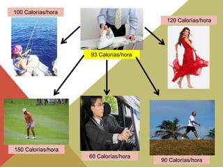 100 Calorías/hora
120 Calorías/hora

93 Calorías/hora

150 Calorías/hora
60 Calorías/hora

90 Calorías/hora

 