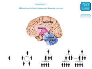 Lancement	:
Métaphore	du	fonctionnement	de	notre	cerveau
 