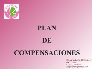 PLAN DE  COMPENSACIONES Cesar Alberto González MX0000269 52 (614) 2332623 [email_address] 