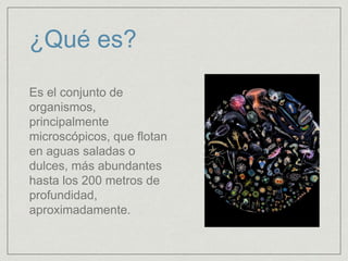 ¿Qué es?
Es el conjunto de
organismos,
principalmente
microscópicos, que flotan
en aguas saladas o
dulces, más abundantes
hasta los 200 metros de
profundidad,
aproximadamente.
 