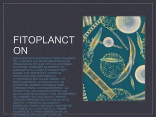 FITOPLANCT
ON
SON LAS MICROALGAS PRODUCTORES PRIMARIOS
DEL PLANCTON CON DIFERENTES FORMAS DE
ORGANIZACIÓN CELULAR: CÉLULAS SOLITARIAS,
EN CADENA, FORMANDO FILAMENTOS, EN
AGREGADOS CELULARES FORMANDO NIEVE
MARINA. LOS PRINCIPALES GRUPOS DE
MICROALGAS QUE CONFORMAN EL
FITOPLANCTON SON LAS DIATOMEAS, LOS
DINOFLAGELADOS, LAS CLOROFITAS, LAS
CIANOFITAS (TAMBIÉN CONOCIDAS COMO
CIANOBACTERIAS), LOS EUGLENOIDEOS, LAS
RAFIDOFITAS, LOS COCOLITOFÓRIDOS, LOS
SILICOFLAGELADOS ENTRE OTROS. DEPENDIENDO
DEL AMBIENTE DULCEACUÍCOLA O MARINO,
TENDRÁN REPRESENTANTES O NO DE ESTOS
GRUPOS Y VARIARÁ SU ABUNDANCIA Y
DIVERSIDAD. PUESTO QUE ES EL COMPONENTE
FOTOSINTÉTICO, CONSTITUYEN EL PRIMER
ESLABÓN DE LA TRAMA ALIMENTICIA EN LOS
SISTEMAS ACUÁTICOS JUNTO CON LOS
 