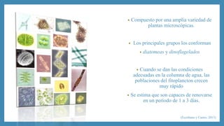 • Compuesto por una amplia variedad de 
plantas microscópicas. 
• Los principales grupos los conforman 
• diatomeas y dinoflagelados 
• Cuando se dan las condiciones 
adecuadas en la columna de agua, las 
poblaciones del fitoplancton crecen 
muy rápido 
• Se estima que son capaces de renovarse 
en un período de 1 a 3 días. 
(Escribano y Castro, 2013) 
 
