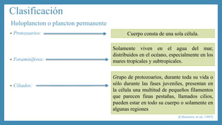 Clasificación 
Holoplancton o plancton permanente 
• Protozoarios: 
• Foraminíferos: 
• Ciliados: 
Cuerpo consta de una sola célula. 
Solamente viven en el agua del mar, 
distribuidos en el océano, especialmente en los 
mares tropicales y subtropicales. 
Grupo de protozoarios, durante toda su vida o 
sólo durante las fases juveniles, presentan en 
la célula una multitud de pequeños filamentos 
que parecen finas pestañas, llamados cilios, 
pueden estar en todo su cuerpo o solamente en 
algunas regiones 
(Cifuentes et al, 1997) 
 