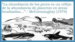 “La abundancia de los peces es un reflejo 
de la abundancia de plancton en áreas 
localizadas…” – McConnaughey (1974) 
 