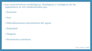 • Las características morfológicas, fisiológicas y ecológicas de los 
organismos se ven condicionadas por: 
• Sustrato 
• Luz 
• Hidrodinamismo (movimiento del agua) 
• Salinidad 
• Oxígeno 
• Sustancias nutritivas 
(Tait y Dipper, 1998) 
 