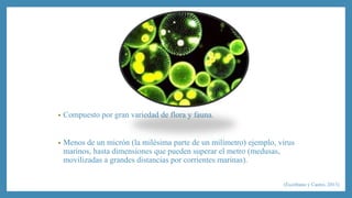 • Compuesto por gran variedad de flora y fauna. 
• Menos de un micrón (la milésima parte de un milímetro) ejemplo, virus 
marinos, hasta dimensiones que pueden superar el metro (medusas, 
movilizadas a grandes distancias por corrientes marinas). 
(Escribano y Castro, 2013) 
 