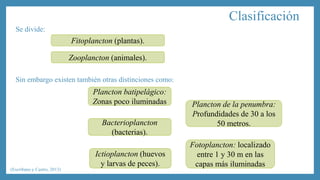 Se divide: 
Sin embargo existen también otras distinciones como: 
Clasificación 
Fitoplancton (plantas). 
Zooplancton (animales). 
Plancton batipelágico: 
Zonas poco iluminadas Plancton de la penumbra: 
Profundidades de 30 a los 
Bacterioplancton 50 metros. 
(bacterias). 
Ictioplancton (huevos 
y larvas de peces). 
Fotoplancton: localizado 
entre 1 y 30 m en las 
capas más iluminadas 
(Escribano y Castro, 2013) 
 