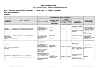 Plan de Acción Anual 2023: Medidas de Control para la Promoción del ...