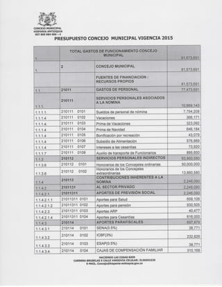 Plan de Acción Concejo 2015