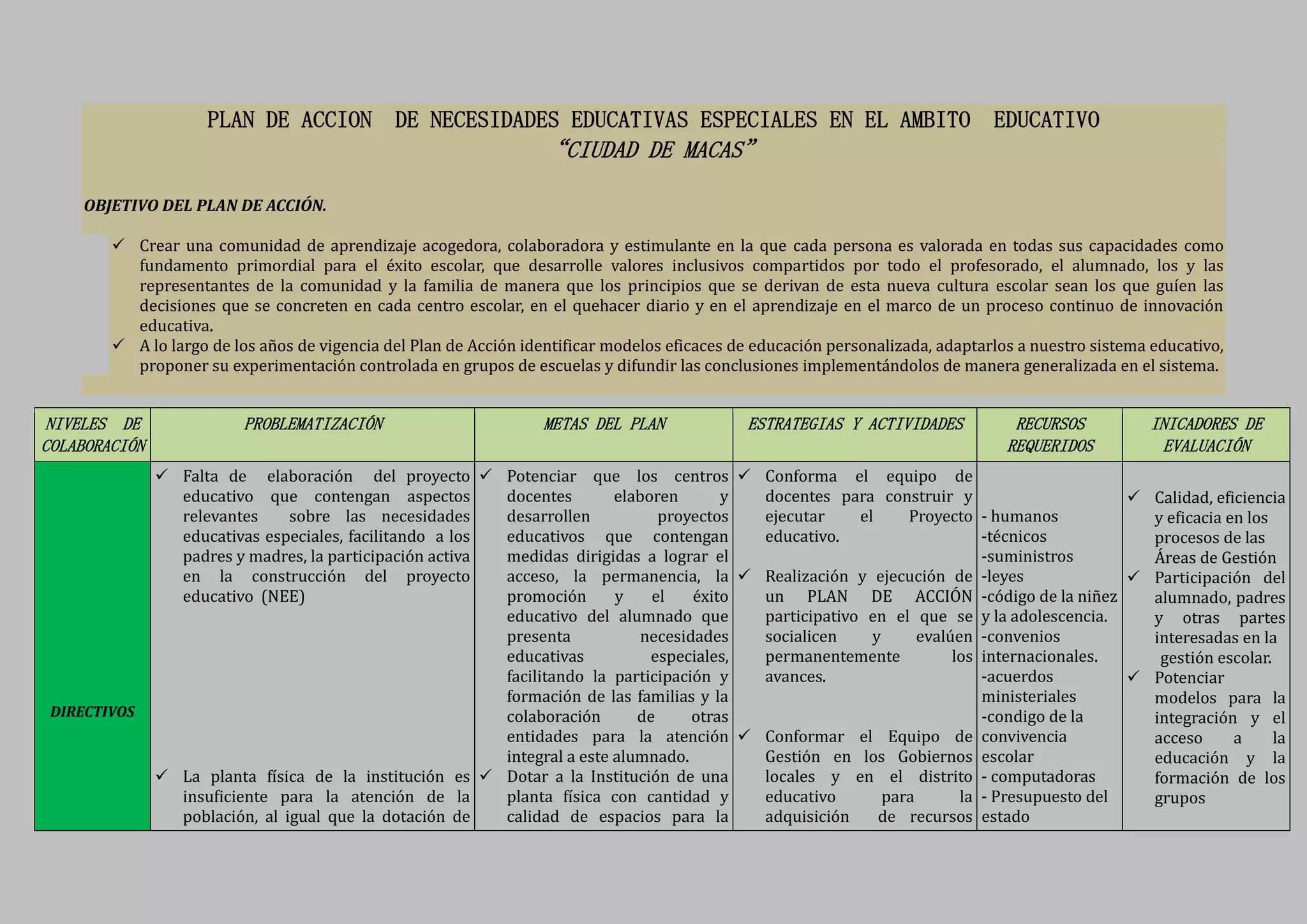 PLAN DE ACCIÓN DE NEE ÁMBITO EDUCATIVO | PDF