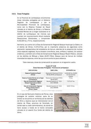 ESTE DOCUMENTO NO DETERMINA LÍMITES DISTRITALES.
114
4.8.5. Áreas Protegidas
En la Provincia de Lambayeque encontramos
áreas naturales protegidas por el Gobierno
Regional de Lambayeque y por la
Municipalidad Provincial de Lambayeque,
como son la Reserva Forestal de Racalí
ubicada en el distrito de Olmos y la Reserva
Forestal Montes de La Virgen localizada en el
distrito de Lambayeque; las mismas que
cuentan con reconocimiento oficial mediante
Resoluciones Directorales, y comprenden
6,432.84 ha y 75 ha, respectivamente.
Asimismo, se cuenta con el Área de Conservación Regional Bosque Huacrupe-La Calera, en
el distrito de Olmos (7,272.27ha), por la importante presencia de algarrobos como
asociación representativa del ecosistema de llanura, además de la presencia de muchas
otras especies vegetales, fauna silvestre (mamíferos, aves, anfibios y reptiles), de carácter
endémico; y también con el Área de Conservación Regional Bosque Moyán-Palacio, ubicado
en los distritos de Motupe y Salas (8,457.76ha). Bosque seco de llanura de múltiple
diversidad de especies, entre las que se encuentra la pava aliblanca.
Tales reservas y áreas de conservación se aprecian en el siguiente cuadro.
Cuadro Nº 4.28
Áreas Naturales Protegidas - Provincia de Lambayeque
AREA NATURAL BASE LEGAL EXTENSIÓN (ha)
Reserva Forestal de Racalí
(Olmos)
Resolución Directoral Nº410-
85-AG/DR-III Lambayeque
6,432.84 ha y 8,400
m2 de terrenos
eriazos.
Reserva Forestal Montes de la Virgen
(Lambayeque)
Resolución Directoral Nº053-
89-AG-DGFF
75 ha.
Área de Conservación Regional
Bosque Huacrupe-La Calera
(Olmos)
Decreto Supremo N° 012-
2011-MINAM
7,272.27 ha.
Área de Conservación Regional
Bosque Moyán-Palacio
(Olmos y Salas)
Decreto Supremo N° 013-
2011-MINAM
8,457.76 ha.
Fuente: PIGARS Lambayeque, 2013 – Gerencia de RRNN Región Lambayeque.
En el caso del Santuario Histórico de Pómac, área
protegida de carácter nacional, parte de su
ámbito se encuentra en territorios de los distritos
de Illimo y Jayanca (que se interconectan con el
distrito de Pítipo, provincia de Ferreñafe, en
donde está su sede administrativa), de donde se
tiene acceso a través de la trocha carrozable
ubicada en el caserío Cruz Verde del distrito de
Illimo.
Foto N° 4.29
Foto N° 4.30. Fauna Bosque de Pómac
 