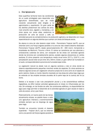 PLAN DE ACONDICIONAMIENTO TERRITORIAL DE LA PROVINCIA DE LAMBAYEQUE 2016-2026
ESTE DOCUMENTO NO DETERMINA LÍMITES DISTRITALES
68
c. Área Agropecuaria
Esta superficie territorial tiene las condiciones
de un suelo privilegiado para desarrollar una
agricultura diversificada, que de modo
creciente actualmente está dirigida a la
agroindustria y exportación. En gran parte de
los distritos predominan los cultivos de arroz,
maíz amarillo duro, algodón y menestras, y en
otros pocos con zonas altas, predomina la
producción de caña de azúcar y café. La
actividad pecuaria es complementaria a la producción agrícola y se desarrolla con mayor
especialización en algunos distritos que cuentan con áreas de bosques secos.
Se abarca la zona de vida desierto súper árido - Premontano Tropical (ds-PT), que se
extiende como una franja angosta paralela a la zona de vida costera desierto desecado-
Premontano Tropical (dd-PT), desde aproximadamente 25 - 400 msnm. Comprende a
localidades de Mochumí, Túcume e Illimo. El relieve se caracteriza por sus planicies y
ondulaciones cubiertas de arena, con excepción de las áreas con actividad agrícola
donde los terrenos son completamente planos, excepto algunas elevaciones en ciertos
sectores. El clima presenta una temperatura media anual entre 23°C y 23.6°C y una
precipitación pluvial total anual entre 30 y 50mm. Existe un gran déficit de humedad en
el suelo, correspondiéndole la provincia de humedad súper árido.
La vegetación natural es desde nula en algunos sectores y rala en otros donde se
observa esporádicamente pequeñas manchas verdes de especies. En otros sectores se
observa algunas dunas con vegetación arbustiva propia de la zona como es el sapote de
porte rastrero. Existe un monte ribereño mezclado con las áreas de cultivo bajo riego que
se extiende en las amplias terrazas aluviales de la parte baja de la cuenca del río La
leche.
Debido a la escasa o casi nula precipitación pluvial y a las características edáficas
regosólicas, es difícil realizar actividad agropecuaria en áreas no influenciadas por los
ríos. Sin embargo, en los fondos de valle, las condiciones edáficas y la disponibilidad de
agua para riego permiten el desarrollo de la actividad agrícola en gran escala en base a
caña de azúcar, arroz y pan llevar.
Potencialmente, en buena parte de las tierras
actualmente eriazas, es posible llevar a cabo
una agricultura intensiva y económicamente
rentable siempre que se disponga de agua
para riego.
También se encuentra incluido el desierto
superárido - Tropical (ds-T), que se extiende
como una porción de franja angosta paralela a
FOTO N°4.14: Terrenos Agrícolas
FOTO N°4.13 DISTRITO LAMBAYEQUE
 