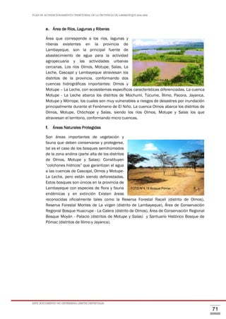 PLAN DE ACONDICIONAMIENTO TERRITORIAL DE LA PROVINCIA DE LAMBAYEQUE 2016-2026
ESTE DOCUMENTO NO DETERMINA LÍMITES DISTRITALES
71
e. Área de Ríos, Lagunas y Riberas
Área que corresponde a los ríos, lagunas y
riberas existentes en la provincia de
Lambayeque, son la principal fuente de
abastecimiento de agua para la actividad
agropecuaria y las actividades urbanas
cercanas. Los ríos Olmos, Motupe, Salas, La
Leche, Cascajal y Lambayeque atraviesan los
distritos de la provincia, conformando dos
cuencas hidrográficas importantes: Olmos y
Motupe – La Leche, con ecosistemas específicos características diferenciadas. La cuenca
Motupe - La Leche abarca los distritos de Mochumí, Túcume, Íllimo, Pacora, Jayanca,
Motupe y Mórrope, los cuales son muy vulnerables a riesgos de desastres por inundación
principalmente durante el Fenómeno de El Niño. La cuenca Olmos abarca los distritos de
Olmos, Motupe, Chóchope y Salas, siendo los ríos Olmos, Motupe y Salas los que
atraviesan el territorio, conformando micro cuencas.
f. Áreas Naturales Protegidas
Son áreas importantes de vegetación y
fauna que deben conservarse y protegerse,
tal es el caso de los bosques semihúmedos
de la zona andina (parte alta de los distritos
de Olmos, Motupe y Salas). Constituyen
“colchones hídricos” que garantizan el agua
a las cuencas de Cascajal, Olmos y Motupe-
La Leche, pero están siendo deforestadas.
Estos bosques son únicos en la provincia de
Lambayeque con especies de flora y fauna
endémicas y en extinción Existen áreas
reconocidas oficialmente tales como la Reserva Forestal Racalí (distrito de Olmos),
Reserva Forestal Montes de La virgen (distrito de Lambayeque), Área de Conservación
Regional Bosque Huacrupe - La Calera (distrito de Olmos), Área de Conservación Regional
Bosque Moyán - Palacio (distritos de Motupe y Salas) y Santuario Histórico Bosque de
Pómac (distritos de Illimo y Jayanca).
FOTO N°4.18 Bosque Pómac
FOTO N°4.17 RIO SALAS
 