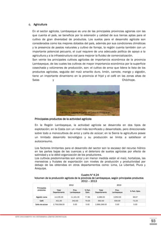 ESTE DOCUMENTO NO DETERMINA LÍMITES DISTRITALES.
93
c. Agricultura
En el sector agrícola, Lambayeque es una de las principales provincias agrarias con las
que cuenta el país, se beneficia por la extensión y calidad de sus tierras aptas para el
cultivo de gran diversidad de productos. Los suelos para el desarrollo agrícola son
considerados como los mejores dotados del país, además por sus condiciones climáticas
y la presencia de pastos naturales y cultivo de forraje, la región cuenta también con un
importante potencial pecuario, el cual requiere de una adecuada política de apoyo a la
agricultura y a la infraestructura vial para mejorar la fluidez de comercialización.
Son veinte los principales cultivos agrícolas de importancia económica de la provincia
Lambayeque, de las cuales los cultivos de mayor importancia económica por la superficie
cosechada y volúmenes de producción, son: el cultivo de arroz que lidera la lista de los
productos agrícolas, seguida del maíz amarillo duro, limón, camote, mango y algodón,
tiene un importante dinamismo en la provincia el frijol y el café en las zonas altas de
Salas y Chóchope.
Principales productos de la actividad agrícola
En la Región Lambayeque, la actividad agrícola se desarrolla en dos tipos de
explotación; en la Costa con un nivel más tecnificado y desarrollado, pero direccionada
sobre todo a monocultivos de arroz y caña de azúcar; en la Sierra la agricultura posee
un limitado desarrollo tecnológico y su producción se limita a satisfacer el
autoconsumo.
Los factores limitantes para el desarrollo del sector son la escasez del recurso hídrico
en las partes bajas de las cuencas y el deterioro de suelos agrícolas por efecto de
salinidad y a la débil organización de los productores.
Los cultivos predominantes son arroz y en menor medida están el maíz, hortalizas, las
menestras y frutales de exportación con niveles de producción y productividad por
debajo de las obtenidas en otros departamentos como: Lima, La Libertad, Piura y
Arequipa.
Cuadro N°4.24
Volumen de la producción agrícola de la provincia de Lambayeque, según principales productos
2012 – 2013
Principales
productos
2012 2013
Total
Departamento
Prov.
Lambayeque
% Part.
Dpto.
Total
Departamento
Prov.
Lambayeque
% Part. Dpto.
Algodón rama 14,335.00 11,161.00 77.86 4,086.00 3,950.00 96.67
Café 431.00 342.00 79.35 692.00 500.00 72.25
Caña de azúcar 2,756,638.00 0.00 0.00 2,966,269.00 0.00 0.00
Foto N°4.24. Labores de Campo de Cultivo en Provincia de
Lambayeque
 