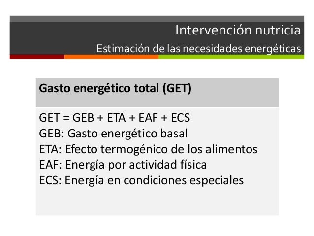 Plan de alimentación (extenso)