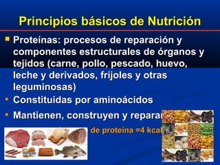 Principios básicos de NutriciónPrincipios básicos de Nutrición
 Proteínas: procesos de reparación yProteínas: procesos de reparación y
componentes estructurales de órganos ycomponentes estructurales de órganos y
tejidos (carne, pollo, pescado, huevo,tejidos (carne, pollo, pescado, huevo,
leche y derivados, frijoles y otrasleche y derivados, frijoles y otras
leguminosas)leguminosas)
• Constituidas por aminoácidosConstituidas por aminoácidos
• Mantienen, construyen y reparanMantienen, construyen y reparan
1 gramo de proteína =4 kcal1 gramo de proteína =4 kcal
 