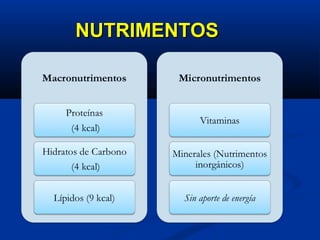 NUTRIMENTOSNUTRIMENTOS
 