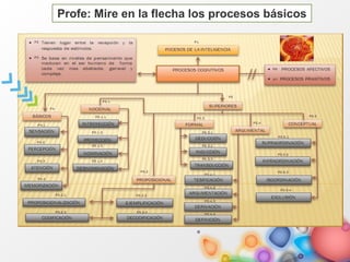 Profe: Mire en la flecha los procesos básicos
 
