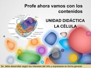 Profe ahora vamos con los
contenidos
LA CÉLULA
UNIDAD DIDÁCTICA
Se debe desarrollar según los intereses del niño y expresarse en forma general.
 