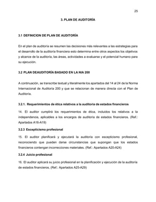 PLAN DE AUDITORIA FINANCIERA CON ELEMPLO DE UN CASO | PDF