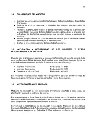PLAN DE AUDITORIA FINANCIERA CON ELEMPLO DE UN CASO | PDF