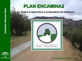 PLAN ENCAMINA2   ... por y para la Agricultura y la Ganadería de Andalucía Consejería de Agricultura y Pesca 1 de septiembre de 2011 