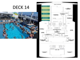 DECK 14