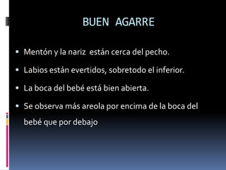 Promover, proteger y apoyar.