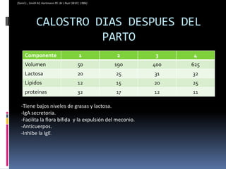 CALOSTRO DIAS DESPUES DEL PARTO(Saint L., Smith M, HartmannPE.:Br J Nutr 58:87, 1984)-Tiene bajos niveles de grasas y lactosa.-IgAsecretoria.-Facilita la flora bífida y la expulsión del meconio.-Anticuerpos.-Inhibe la IgE.