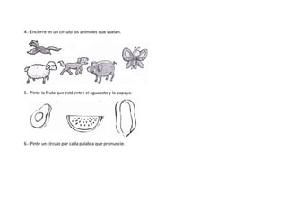 4.- Encierre en un círculo los animales que vuelan.
5.- Pinte la fruta que está entre el aguacate y la papaya.
6.- Pinte un círculo por cada palabra que pronuncie.
 