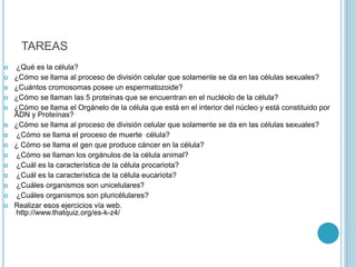 TAREAS
 ¿Qué es la célula?
 ¿Cómo se llama al proceso de división celular que solamente se da en las células sexuales?
 ¿Cuántos cromosomas posee un espermatozoide?
 ¿Cómo se llaman las 5 proteínas que se encuentran en el nucléolo de la célula?
 ¿Cómo se llama el Orgánelo de la célula que está en el interior del núcleo y está constituido por
ADN y Proteínas?
 ¿Cómo se llama al proceso de división celular que solamente se da en las células sexuales?
 ¿Cómo se llama el proceso de muerte célula?
 ¿ Cómo se llama el gen que produce cáncer en la célula?
 ¿Cómo se llaman los orgánulos de la célula animal?
 ¿Cuál es la característica de la célula procariota?
 ¿Cuál es la característica de la célula eucariota?
 ¿Cuáles organismos son unicelulares?
 ¿Cuáles organismos son pluricélulares?
 Realizar esos ejercicios vía web.
http://www.thatquiz.org/es-k-z4/
 