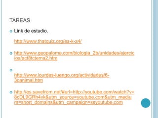 TAREAS
 Link de estudio.
http://www.thatquiz.org/es-k-z4/
 http://www.geopaloma.com/biologia_2b/unidades/ejercic
ios/act8tctema2.htm

http://www.lourdes-luengo.org/actividades/6-
3canimal.htm
 http://es.savefrom.net/#url=http://youtube.com/watch?v=
8cDL9GRh4vk&utm_source=youtube.com&utm_mediu
m=short_domains&utm_campaign=ssyoutube.com
 
