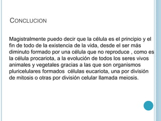 CONCLUCION
Magistralmente puedo decir que la célula es el principio y el
fin de todo de la existencia de la vida, desde el ser más
diminuto formado por una célula que no reproduce , como es
la célula procariota, a la evolución de todos los seres vivos
animales y vegetales gracias a las que son organismos
pluricelulares formados células eucariota, una por división
de mitosis o otras por división celular llamada meiosis.
 